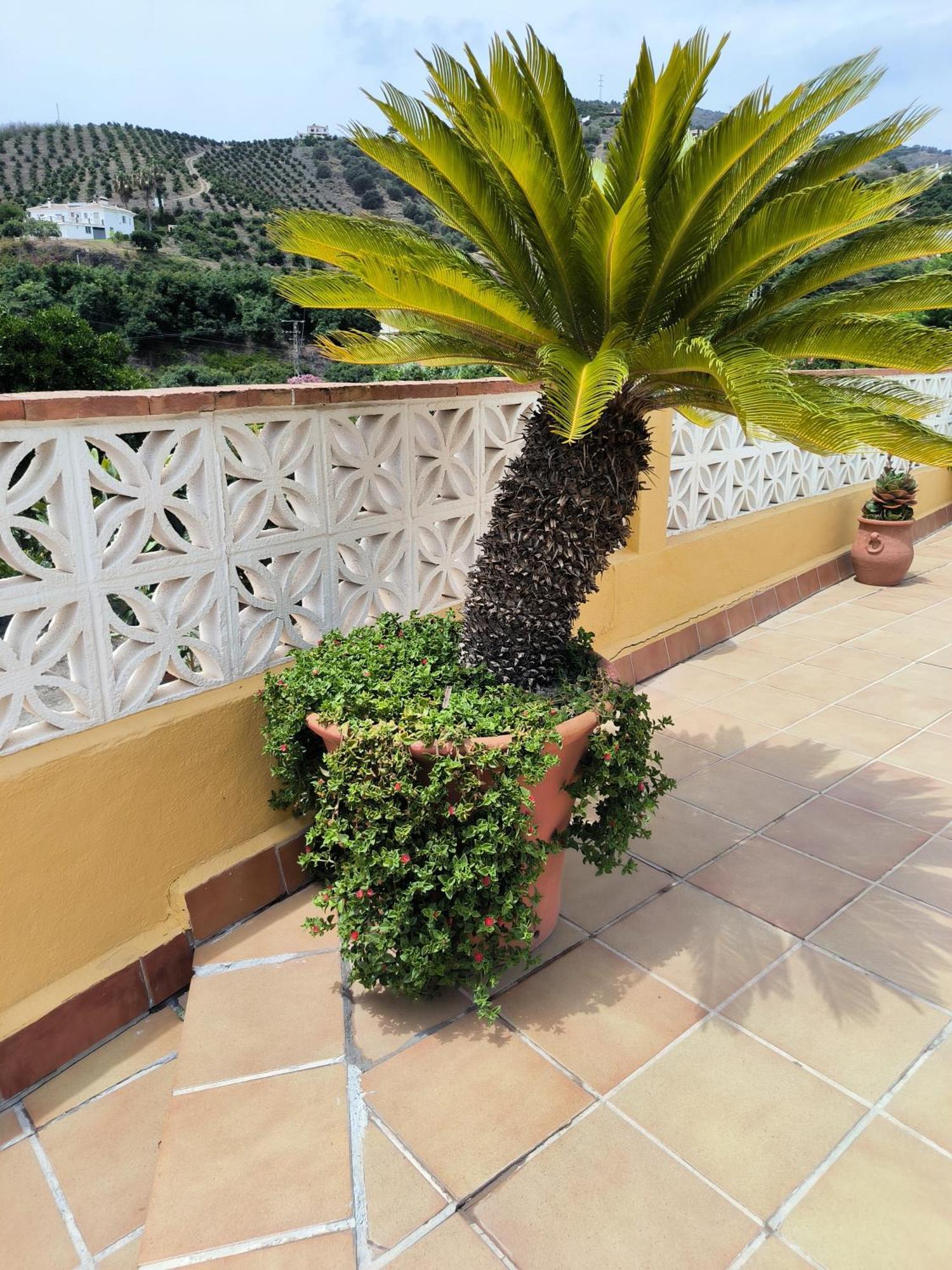 Villa Cortijo Maria Gomez Málaga Exterior foto